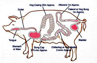 Types of casing